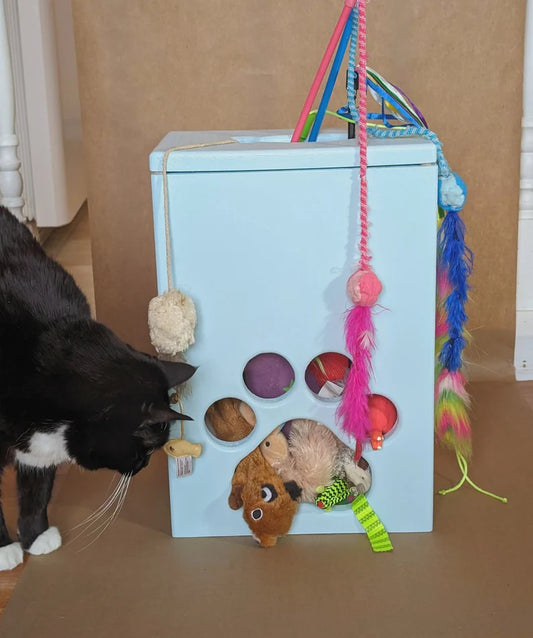 Cat Toy Storage Play Center